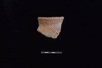 藏品(陶罐)的圖片